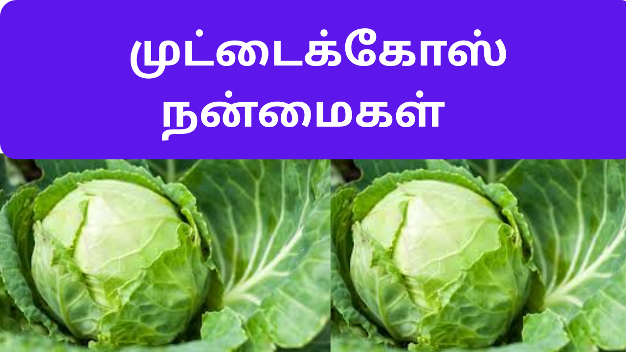 Benefits of muttaikose in tamil
