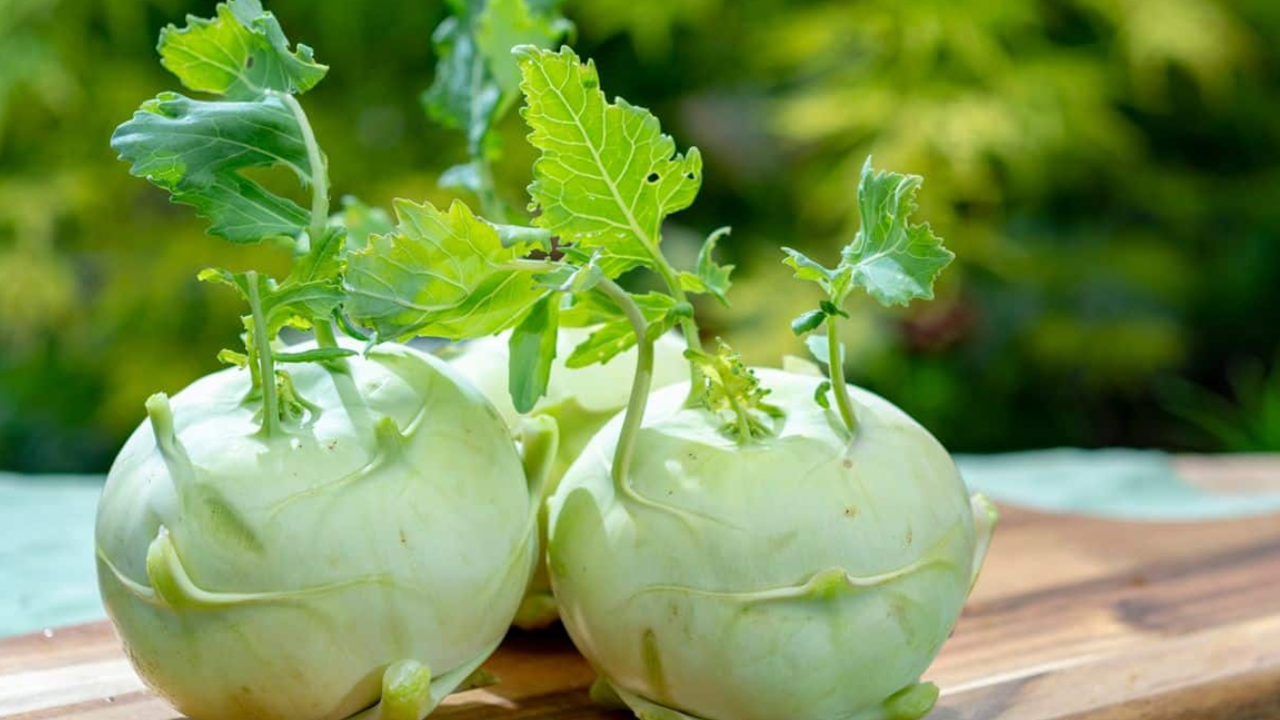 Benefits of nookal in tamil