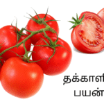 தக்காளியின் பயன்கள்