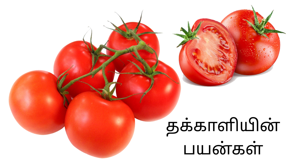 தக்காளியின் பயன்கள்