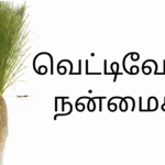 வெட்டிவேரின் நன்மைகள்